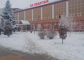 В бассейне Спартак