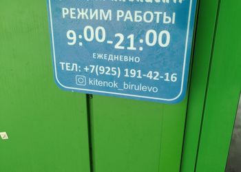 В бассейне Китёнок