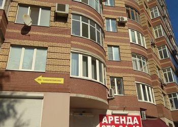 здание Лягушонок