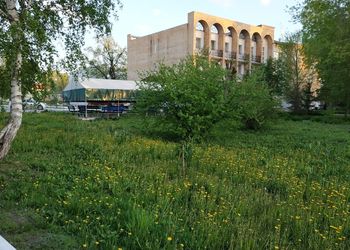 здание Оздоровительный бассейн